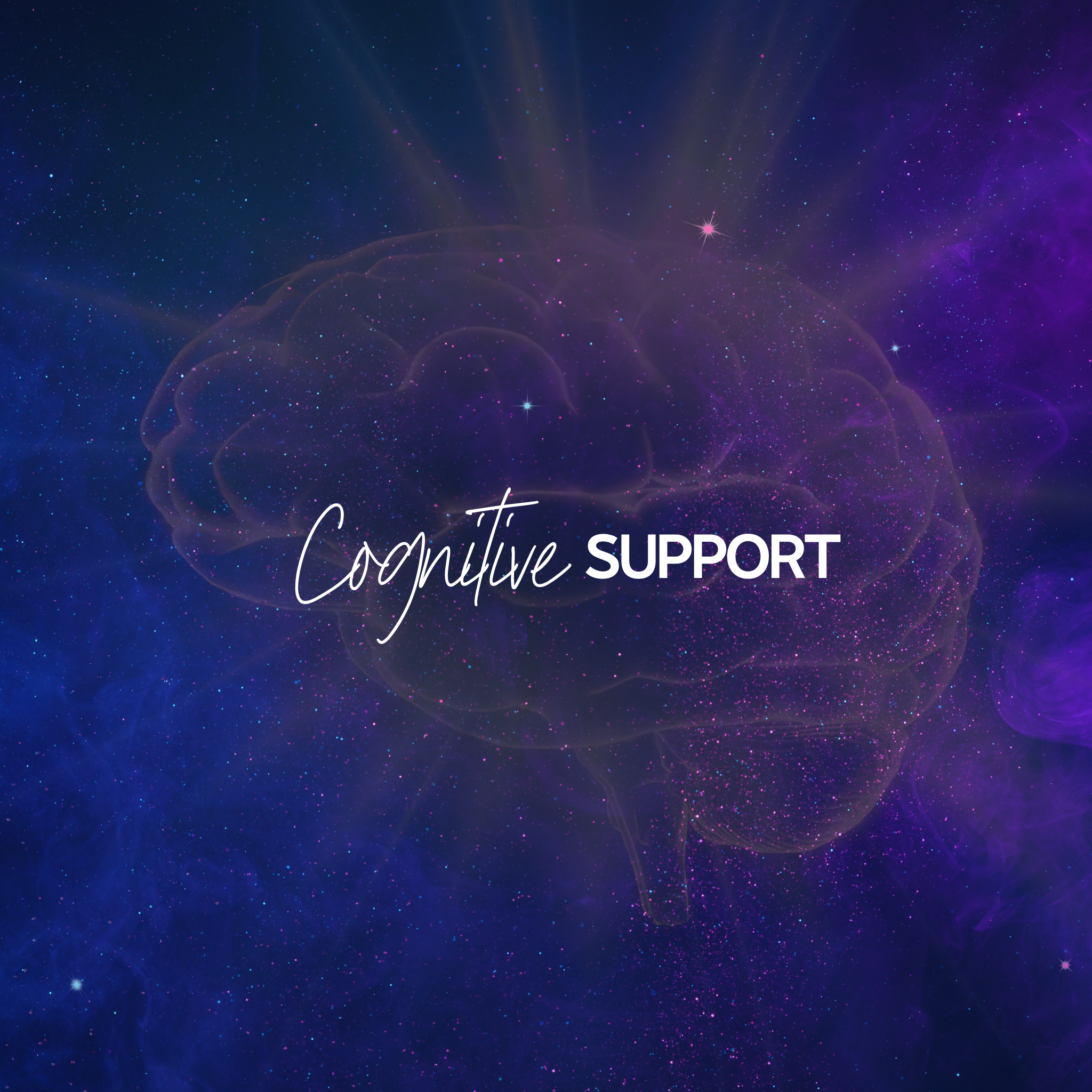 COGNITIVE SUPPORT