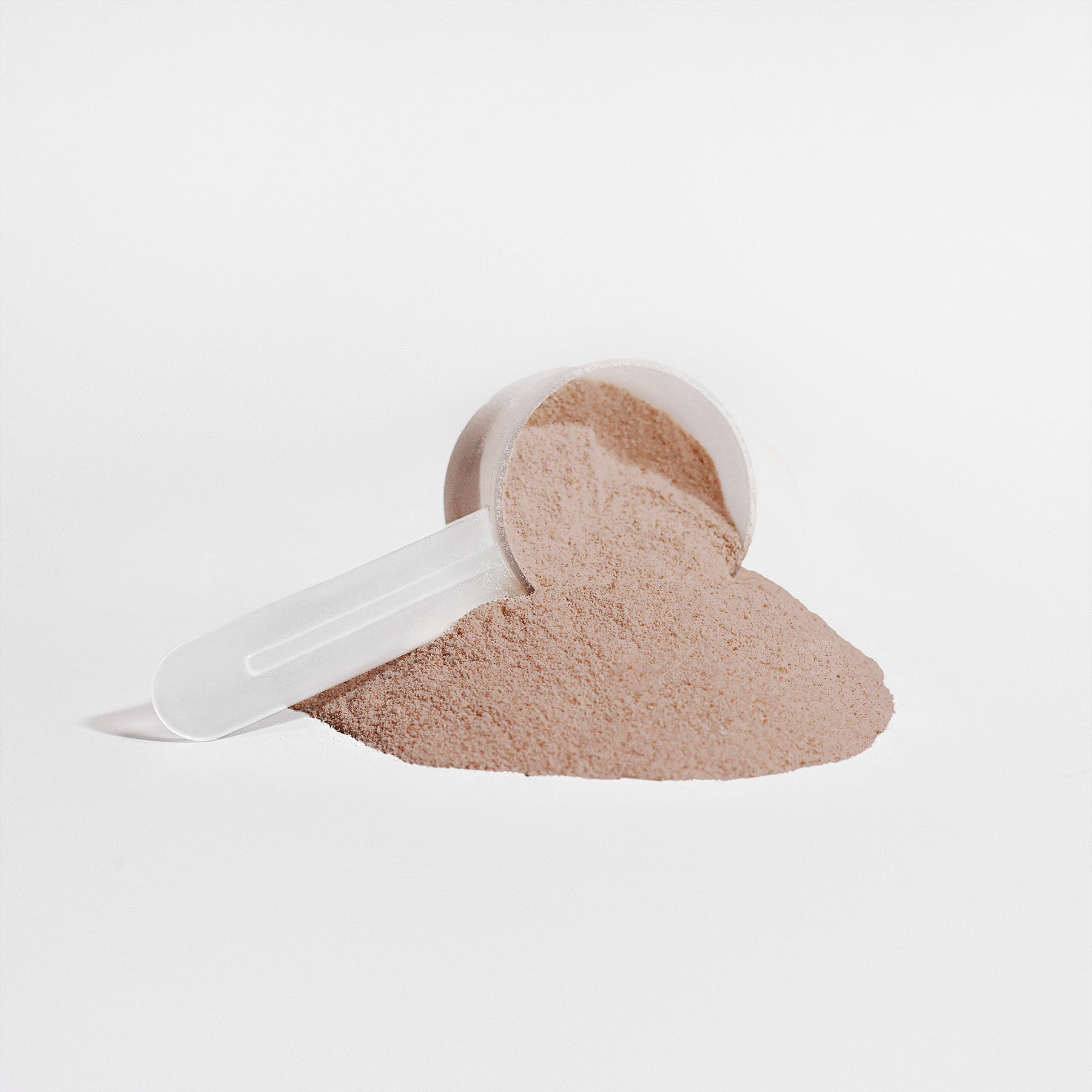 Chocolate Vegan Bliss Protein