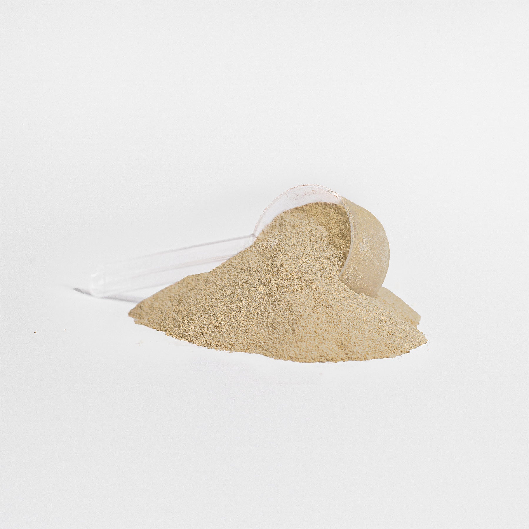 Vanilla Vegan Bliss Protein